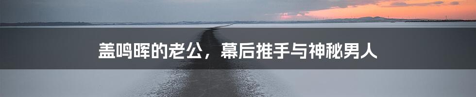 盖鸣晖的老公,幕后推手与神秘男人