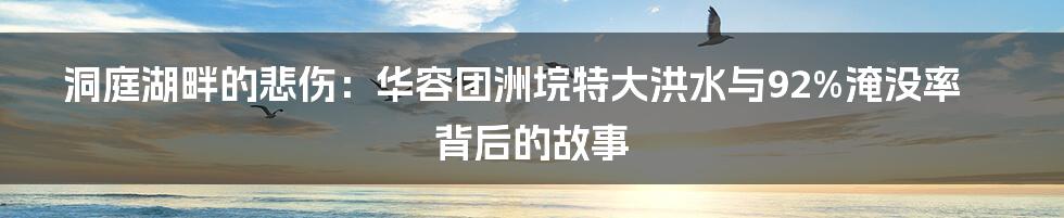 洞庭湖畔的悲伤:华容团洲垸特大洪水与92%淹没率背后的故事