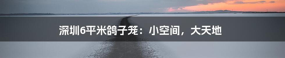 深圳6平米鸽子笼:小空间,大天地