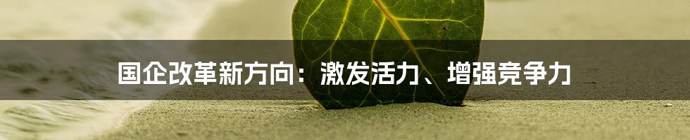 国企改革新方向:激发活力、增强竞争力