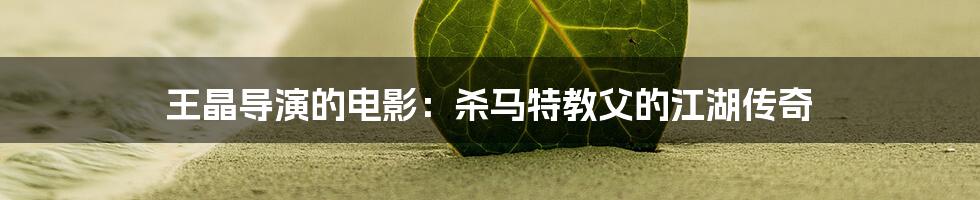 王晶导演的电影:杀马特教父的江湖传奇
