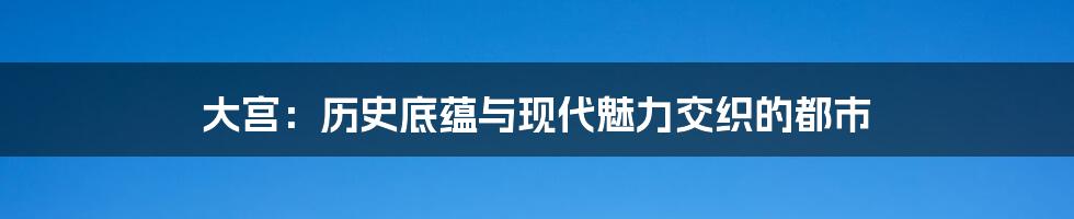 大宫:历史底蕴与现代魅力交织的都市