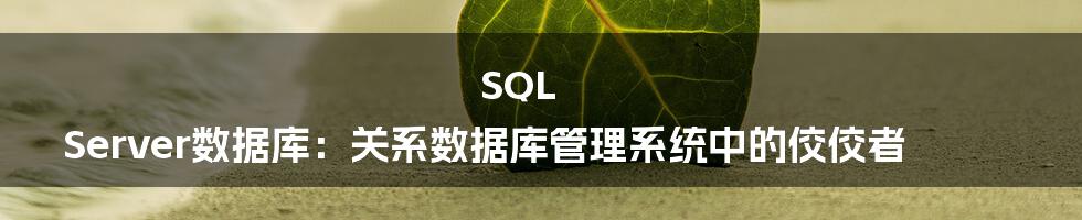 SQL Server数据库:关系数据库管理系统中的佼佼者