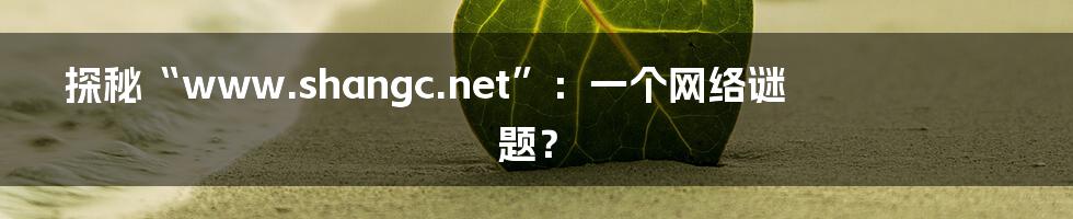 探秘“www.shangc.net”:一个网络谜题?