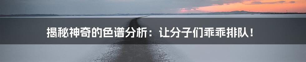 揭秘神奇的色谱分析:让分子们乖乖排队!
