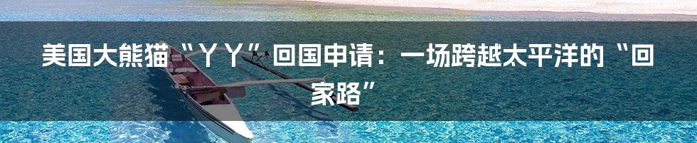 美国大熊猫“丫丫”回国申请:一场跨越太平洋的“回家路”