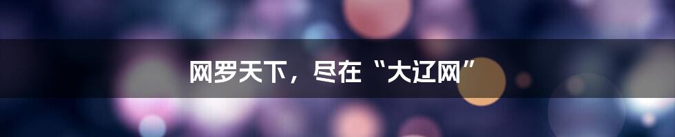 网罗天下,尽在“大辽网”