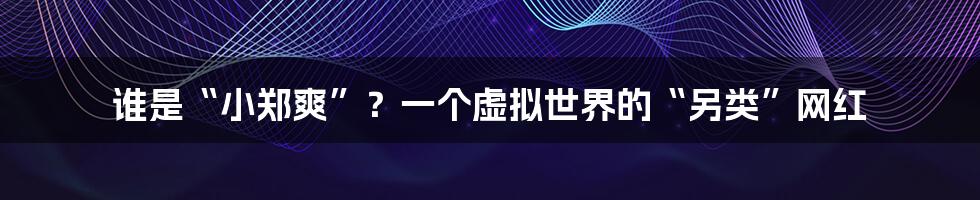 谁是“小郑爽”?一个虚拟世界的“另类”网红