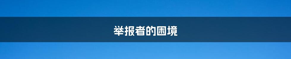 举报者的困境