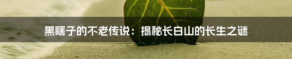 黑瞎子的不老传说：揭秘长白山的长生之谜
