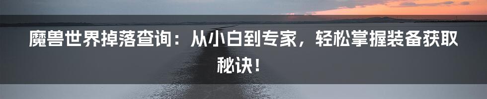魔兽世界掉落查询:从小白到专家,轻松掌握装备获取秘诀!