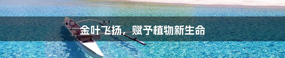 金叶飞扬,赋予植物新生命