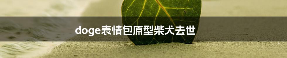 doge表情包原型柴犬去世