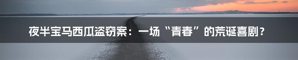 夜半宝马西瓜盗窃案:一场“青春”的荒诞喜剧?