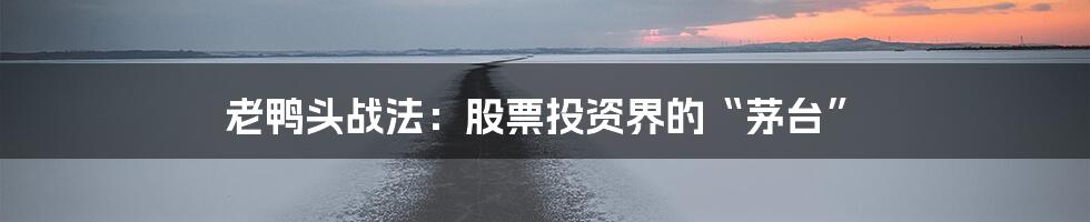 老鸭头战法:股票投资界的“茅台”