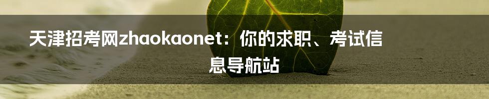 天津招考网zhaokaonet:你的求职、考试信息导航站