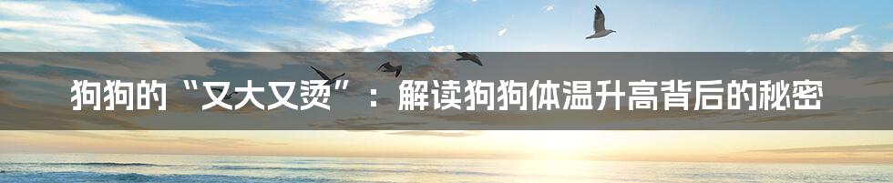 狗狗的“又大又烫”：解读狗狗体温升高背后的秘密