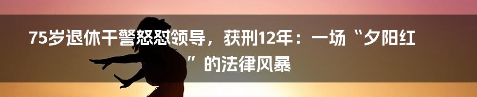 75岁退休干警怒怼领导,获刑12年:一场“夕阳红”的法律风暴