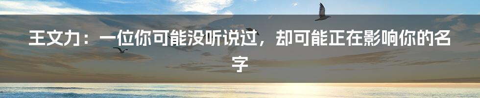 王文力:一位你可能没听说过,却可能正在影响你的名字