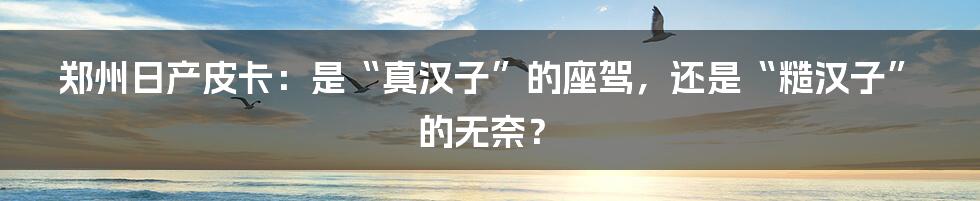 郑州日产皮卡:是“真汉子”的座驾,还是“糙汉子”的无奈?