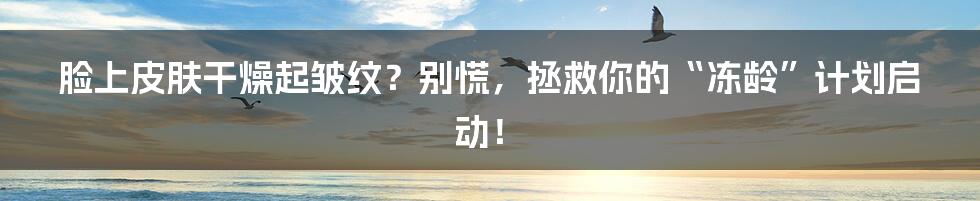 脸上皮肤干燥起皱纹?别慌,拯救你的“冻龄”计划启动!