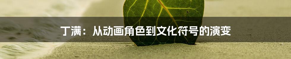 丁满:从动画角色到文化符号的演变