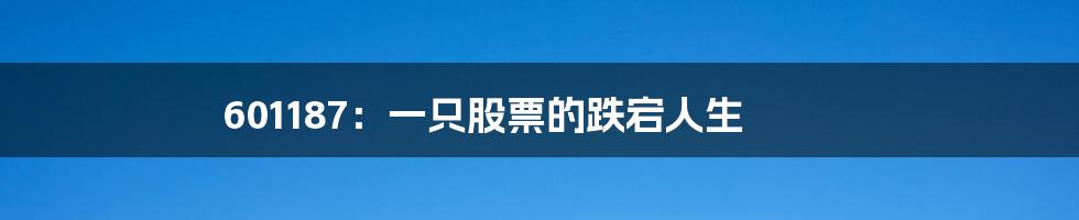 601187:一只股票的跌宕人生