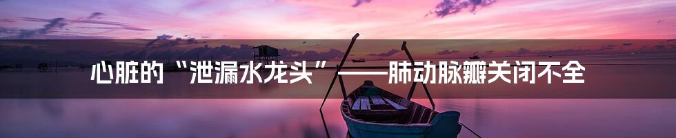 心脏的“泄漏水龙头”——肺动脉瓣关闭不全