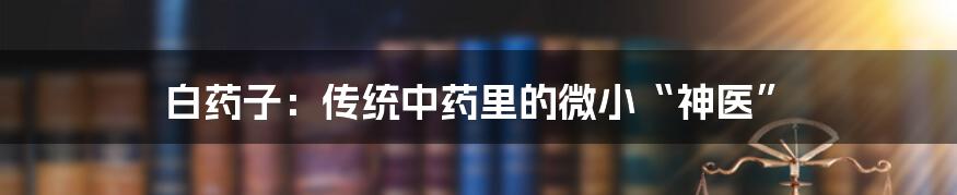 白药子：传统中药里的微小“神医”