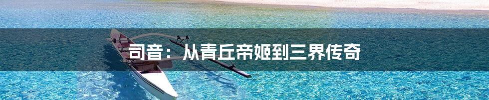 司音:从青丘帝姬到三界传奇