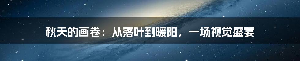 秋天的画卷:从落叶到暖阳,一场视觉盛宴