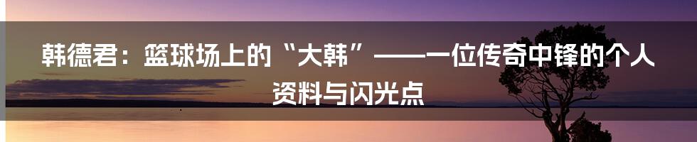 韩德君:篮球场上的“大韩”——一位传奇中锋的个人资料与闪光点