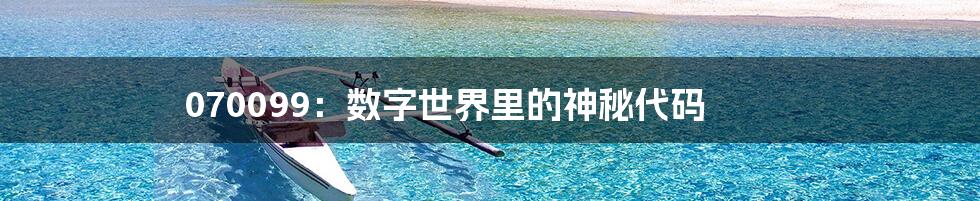 070099:数字世界里的神秘代码