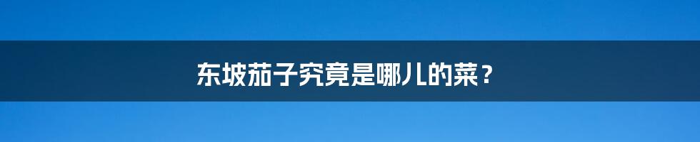 东坡茄子究竟是哪儿的菜？