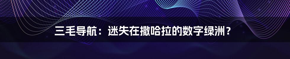 三毛导航：迷失在撒哈拉的数字绿洲？