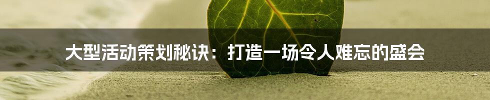 大型活动策划秘诀:打造一场令人难忘的盛会
