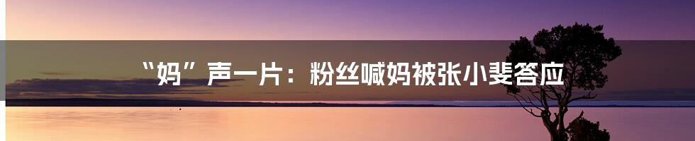 “妈”声一片:粉丝喊妈被张小斐答应