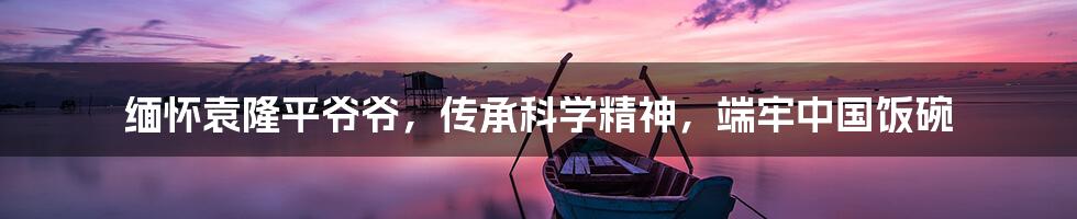 缅怀袁隆平爷爷，传承科学精神，端牢中国饭碗