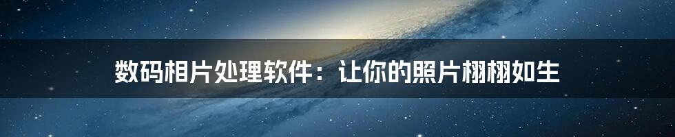 数码相片处理软件:让你的照片栩栩如生