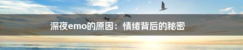 深夜emo的原因:情绪背后的秘密