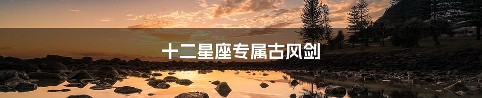 十二星座专属古风剑