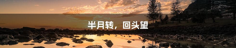 半月转,回头望