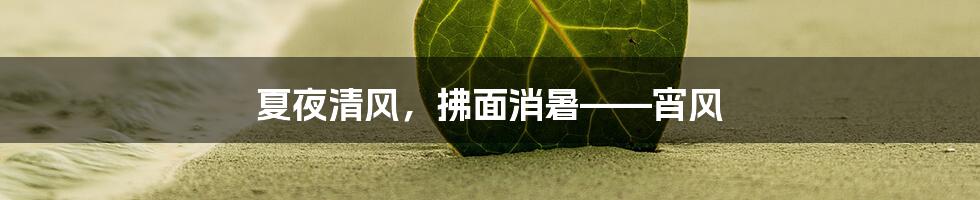 夏夜清风,拂面消暑——宵风