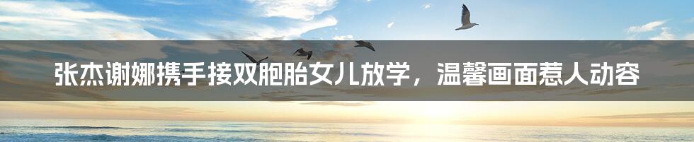 张杰谢娜携手接双胞胎女儿放学,温馨画面惹人动容