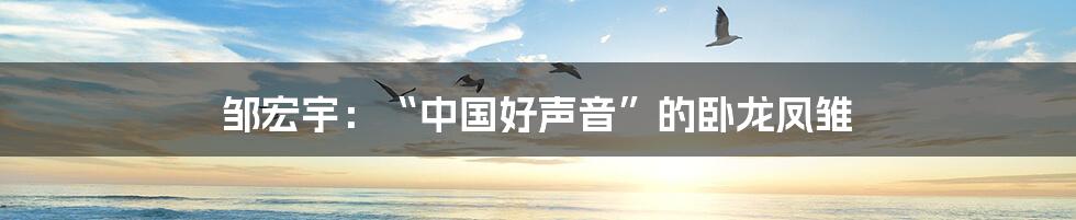 邹宏宇:“中国好声音”的卧龙凤雏