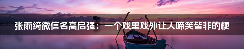 张雨绮微信名高启强:一个戏里戏外让人啼笑皆非的梗