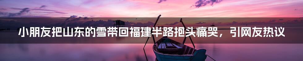 小朋友把山东的雪带回福建半路抱头痛哭,引网友热议