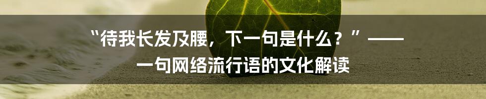 “待我长发及腰,下一句是什么?”—— 一句网络流行语的文化解读