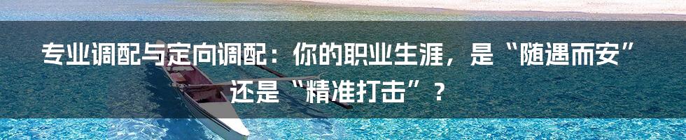 专业调配与定向调配:你的职业生涯,是“随遇而安”还是“精准打击”?