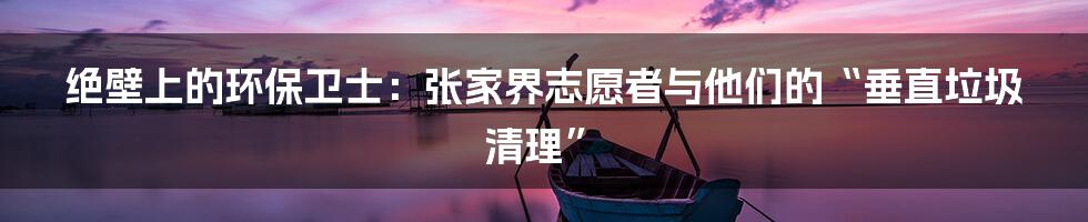 绝壁上的环保卫士：张家界志愿者与他们的“垂直垃圾清理”